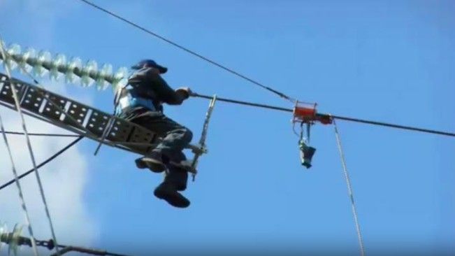 Power line conductors and ground wires